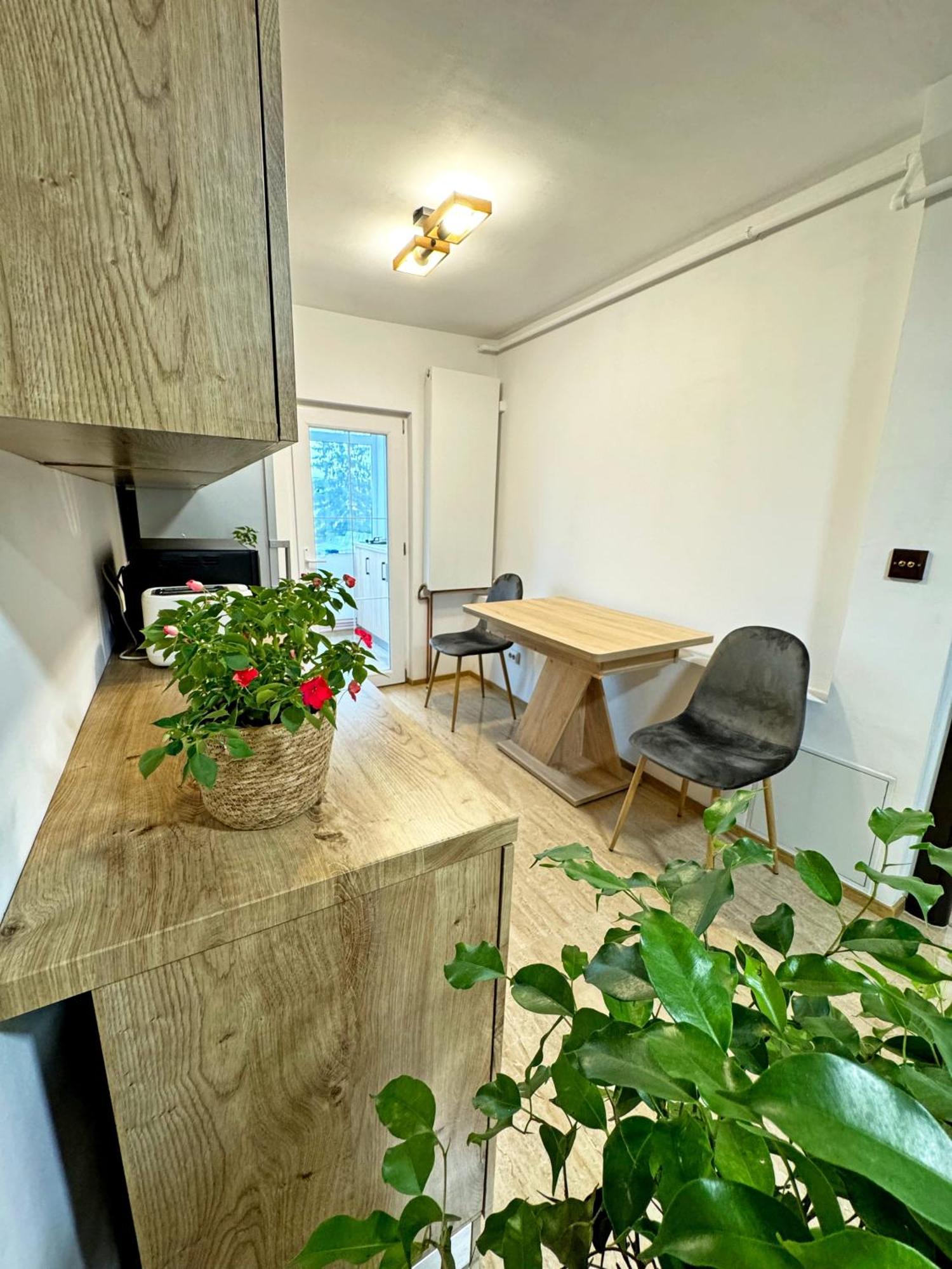 Ultracentral Apartment ทาร์กู จิอู ภายนอก รูปภาพ